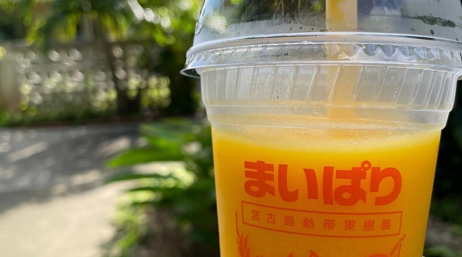 🍍 마이파리 미야코지마 열대과수원 이미지 5